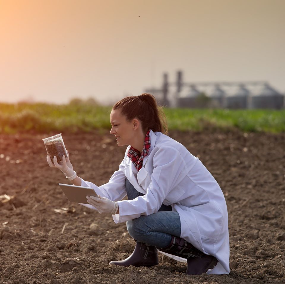 Image of a woman crouching in a field on Nemphos Braue's website