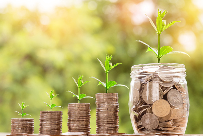 Image of a jar of money, stacks of coins, and small buds growing from them on Nemphos Braue's website
