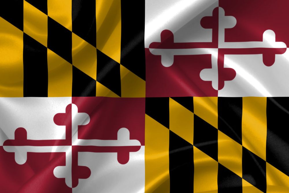Image of the Maryland flag on Nemphos Braue's website