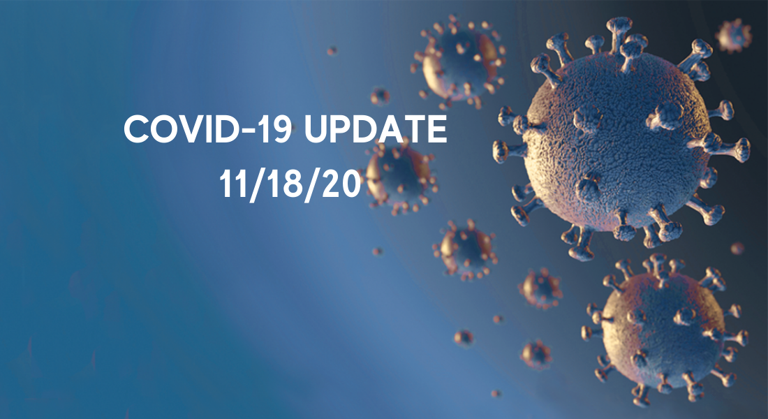 November covid-19 update by top business lawyers cover image on Nemphos Braue's website