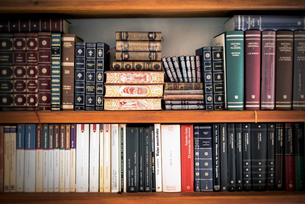 Image of two shelves full of books