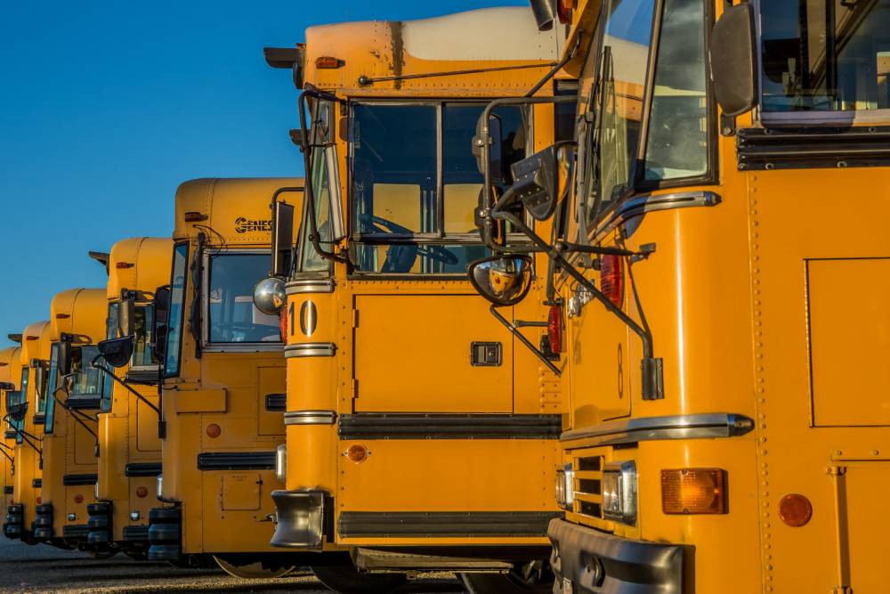 Image of yellow school buses