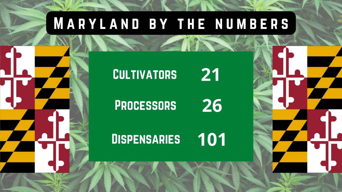 Maryland Cannabis by the numbers Maryland Cannabis by the Numbers
