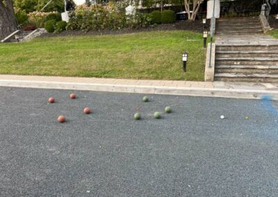 Bocce Ball Networking Event image on Nemphos Braue's website