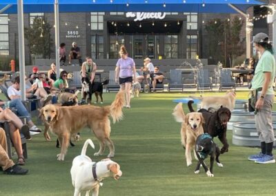 Image of Bark Social in Baltimore