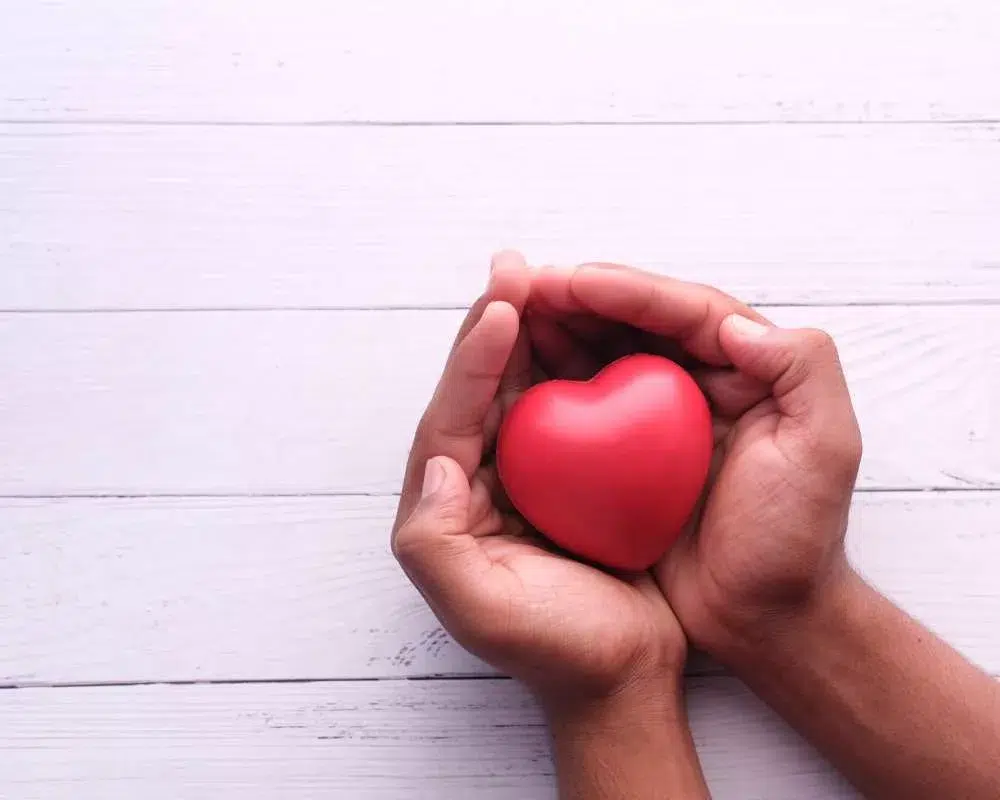 Image of hands holding a heart